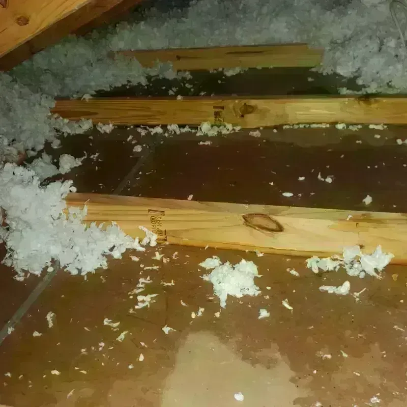 Attic Water Damage in Seguin, TX