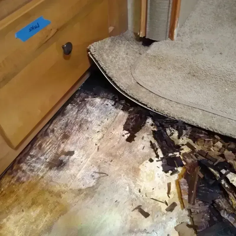 Wood Floor Water Damage in Seguin, TX